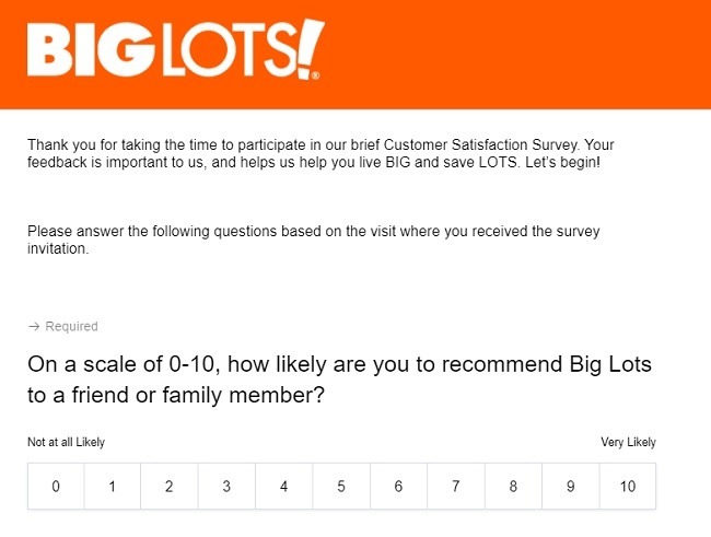 big lots survey
