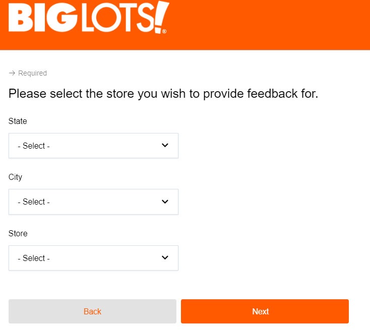 big lots survey